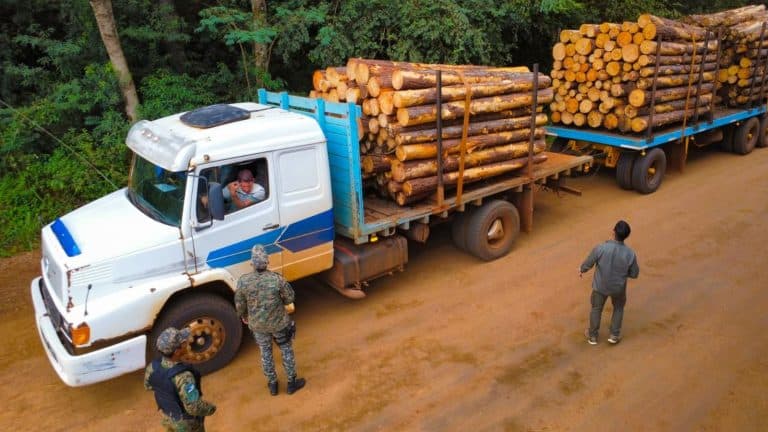 Whats App Image 2026 04 14 at 09.46.18 768x432